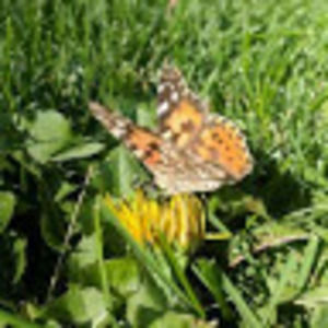 Meet your Posher, Kristin